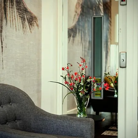 Deniké Grupo Atalaia Santiago de Compostela