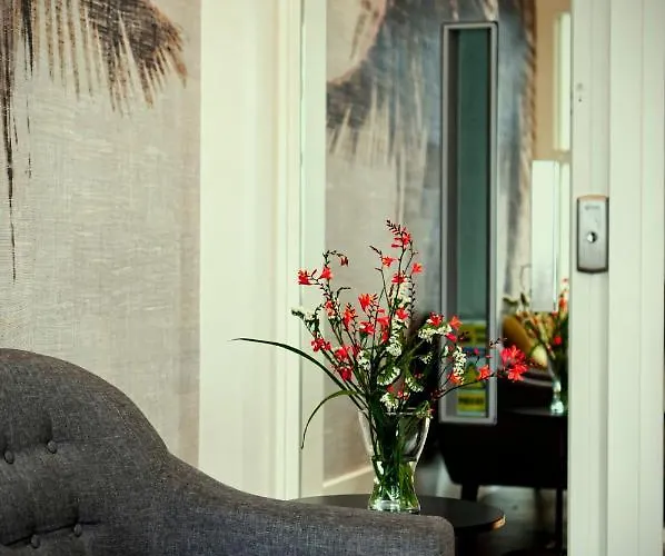 Denike Grupo Atalaia Santiago de Compostela