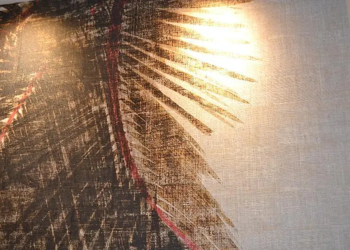 Denike Grupo Atalaia Santiago de Compostela