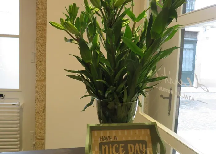 Denike Grupo Atalaia 2*